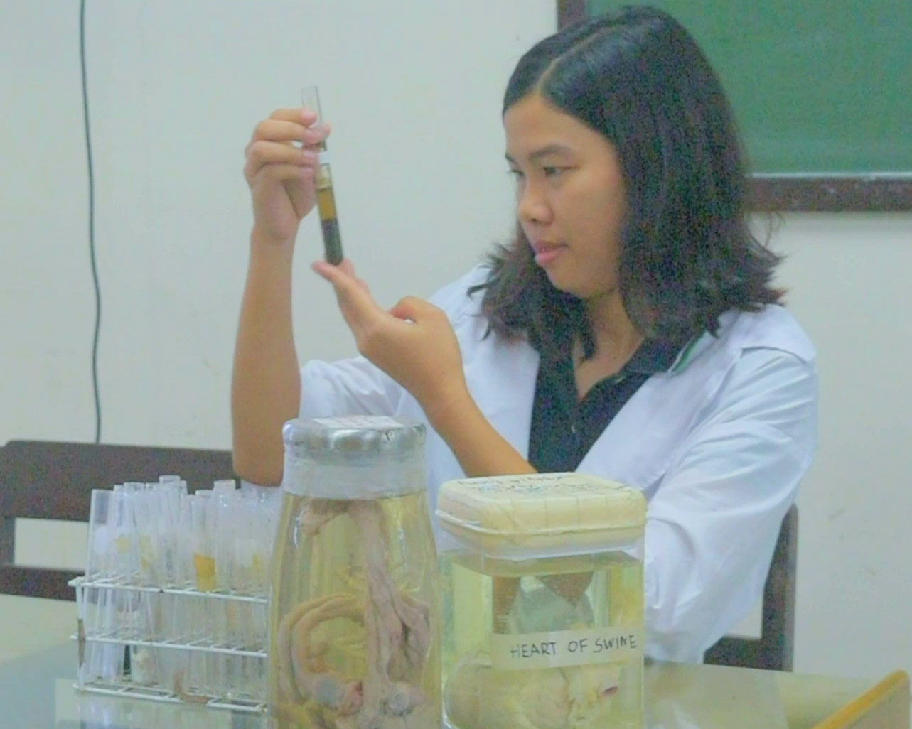 BS Agriculture, Major in Animal Science - University of ...